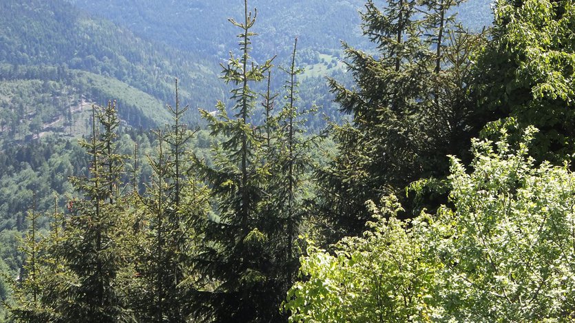 Biking in Island Beskid mountains, Poland