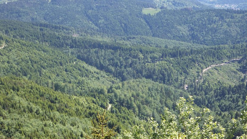 Biking in Island Beskid mountains, Poland