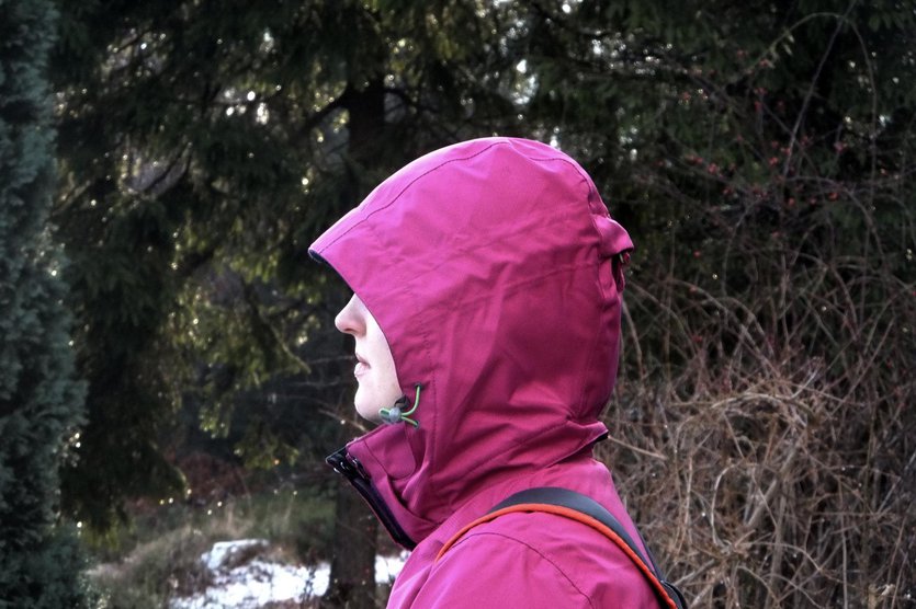 Salomon Ski Jacket - Women's Minim GORE-TEX Jacket