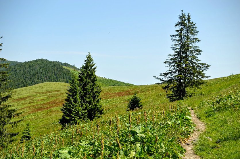 Żywiec Beskid mountains in southern Poland