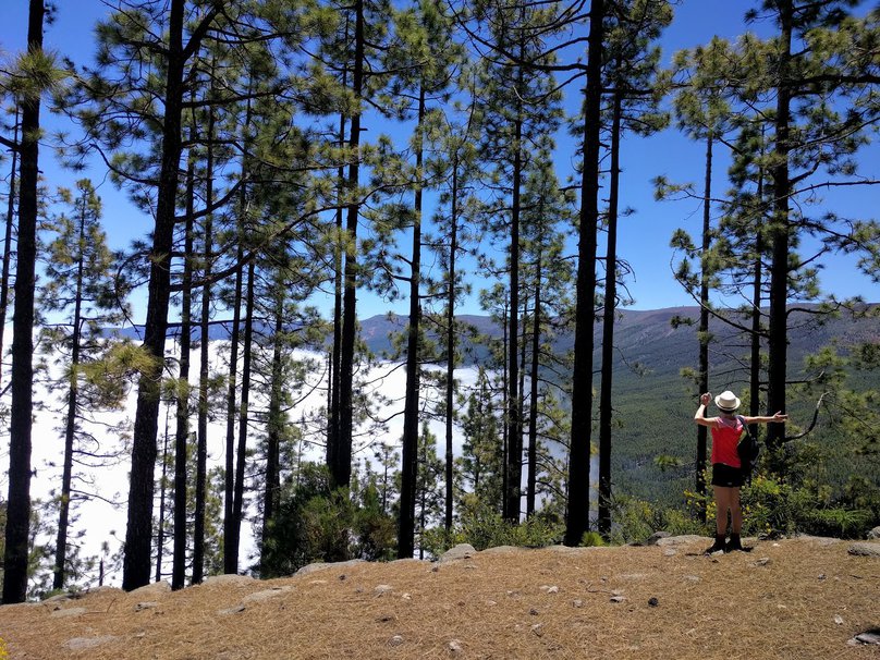 Freedom in the mountains - hiking in Teide National Park