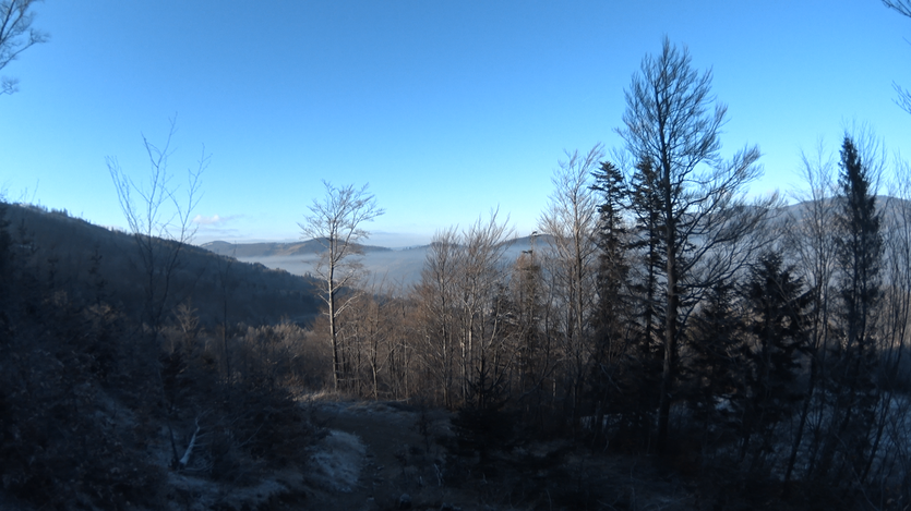 Camera Sony X1000v pic 2