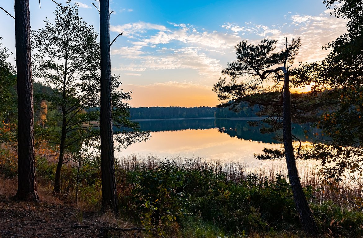 The Tuchola Nature Reserve