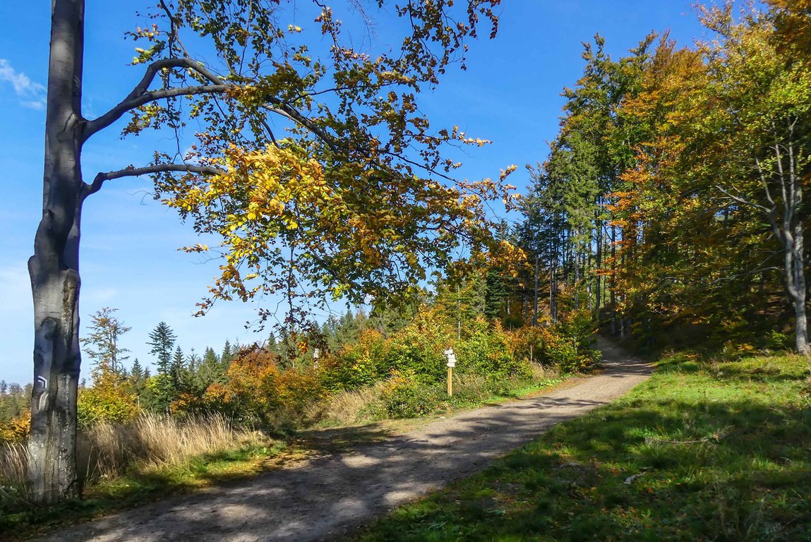 hiking near babia gora